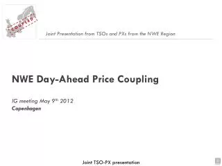 NWE Day-Ahead Price Coupling IG meeting May 9 th 2012 Copenhagen