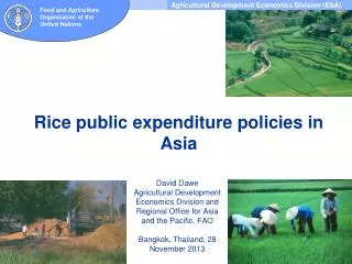 Rice public expenditure policies in Asia
