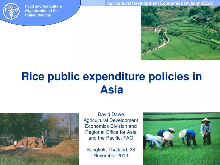 rice public expenditure policies in asia