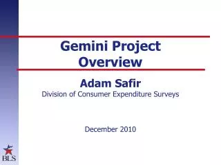Gemini Project Overview