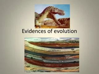 Evidences of evolution
