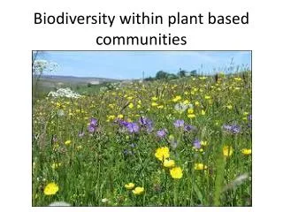 Biodiversity within plant based communities