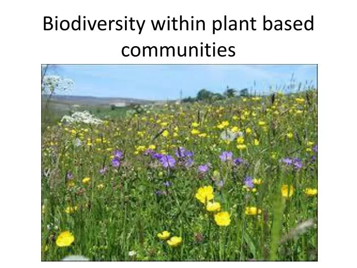 biodiversity within plant based communities