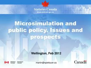 Microsimulation and public policy. Issues and prospects