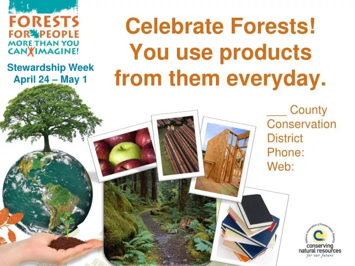 celebrate forests you use products from them everyday