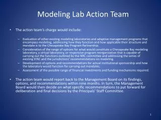 Modeling Lab Action Team