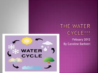 The Water Cycle!!!