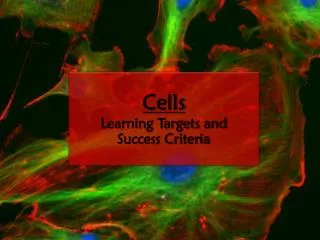 Cells Learning Targets and Success Criteria