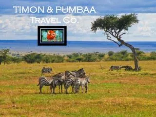 TIMON &amp; PUMBAA Travel Co.