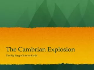 the cambrian explosion