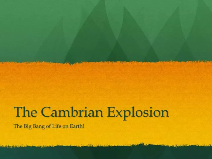 the cambrian explosion