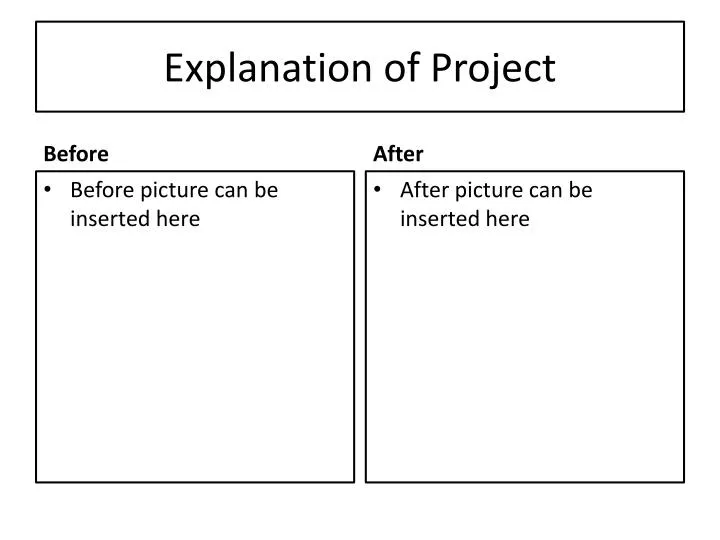 explanation of project