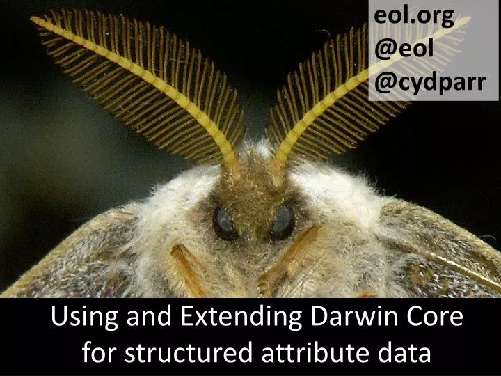 using and extending darwin core for structured attribute data