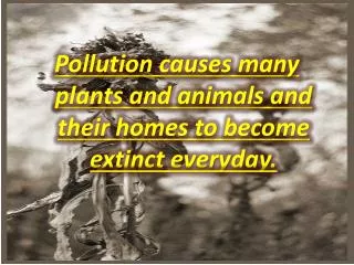 Pollution causes many plants and animals and their homes to become extinct everyday.