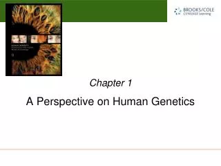 A Perspective on Human Genetics