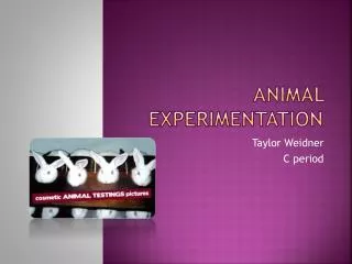 animal experimentation