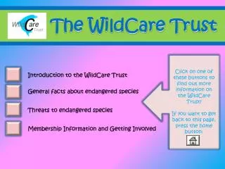The WildCare Trust