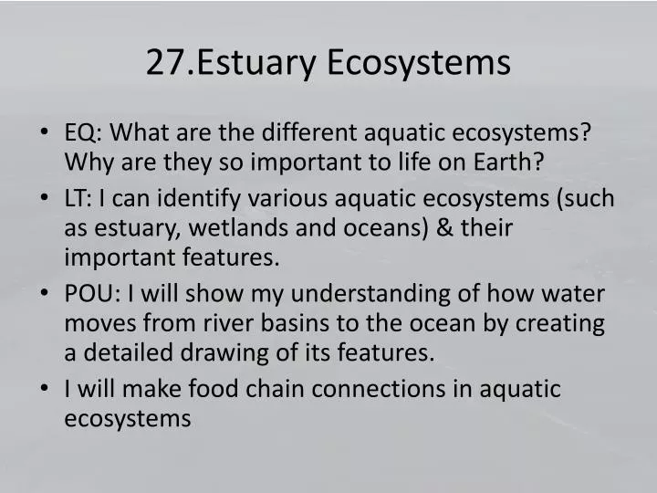 27 estuary ecosystems
