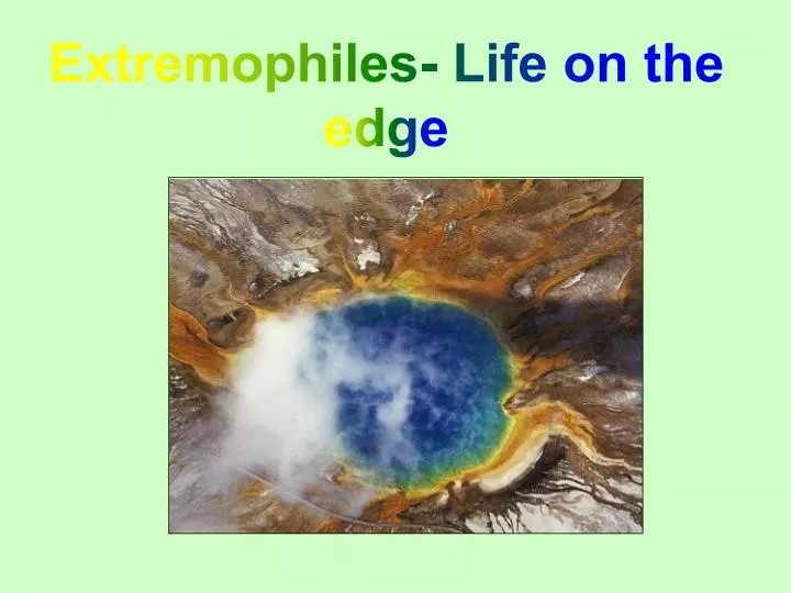 extremophiles life on the edge