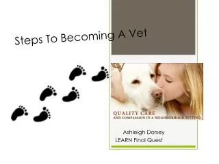 Steps To Becoming A Vet
