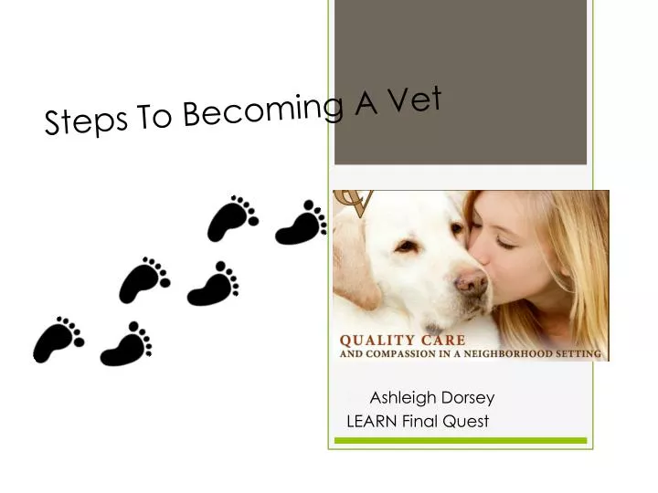 steps to becoming a vet