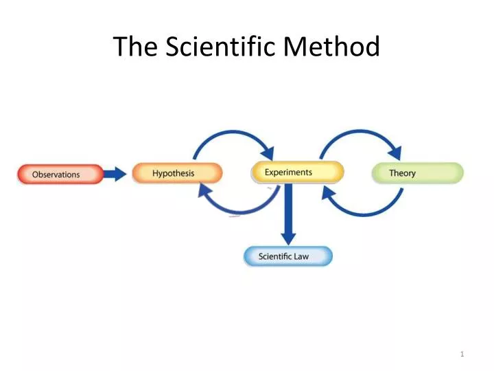 the scientific method