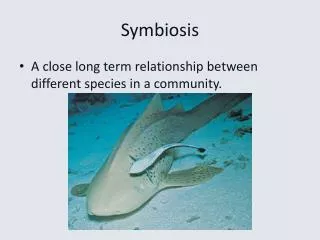 Symbiosis