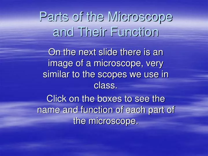 parts of the microscope and their function