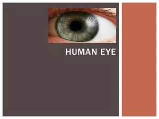 Human Eye