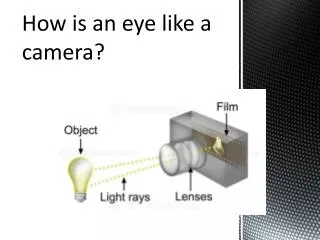 How is an eye like a camera?