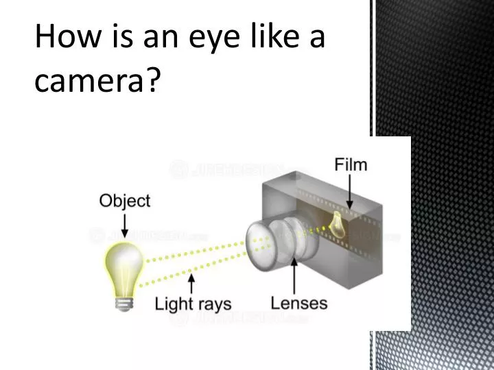 how is an eye like a camera