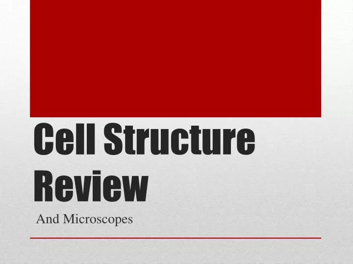 cell structure review