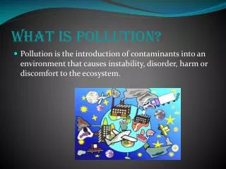 What is Pollution?