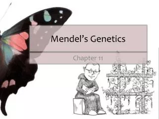 mendel s genetics