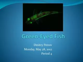 Green-Eyed Fish