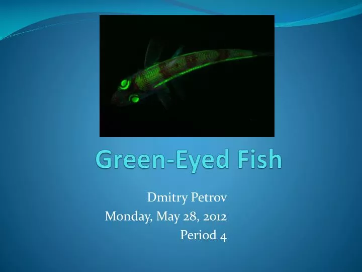 green eyed fish