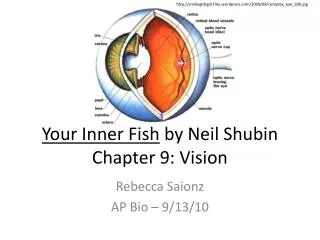 Your Inner Fish by Neil Shubin Chapter 9: Vision