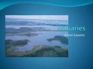 Estuaries