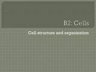 B2: Cells
