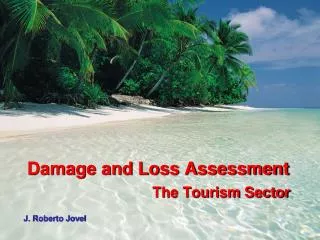 Damage and Loss Assessment