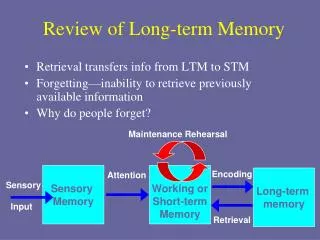 Review of Long-term Memory