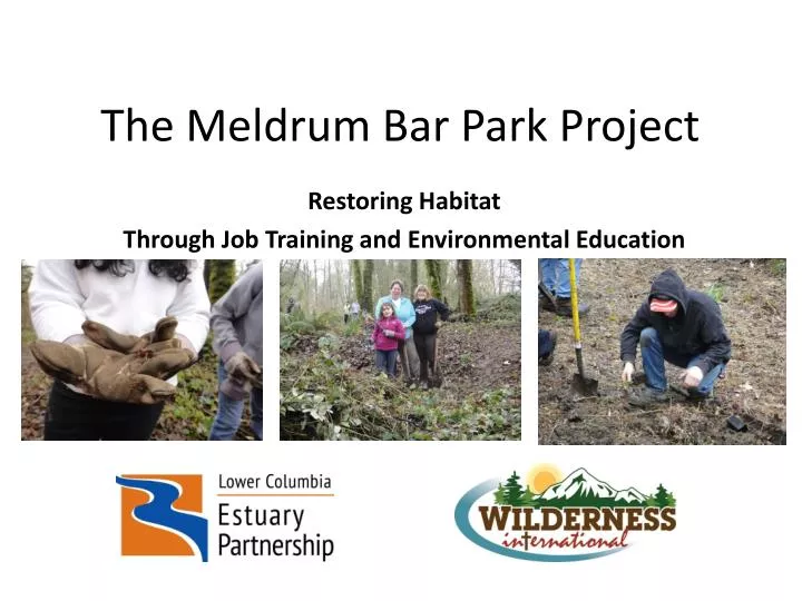 the meldrum bar park project