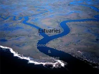 Estuaries