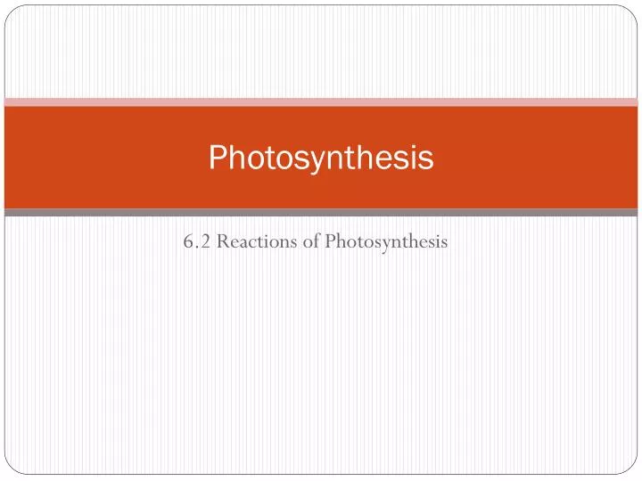 photosynthesis