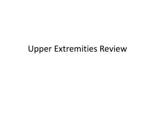 Upper Extremities Review