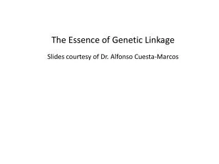 The Essence of Genetic Linkage Slides courtesy of Dr. Alfonso Cuesta-Marcos
