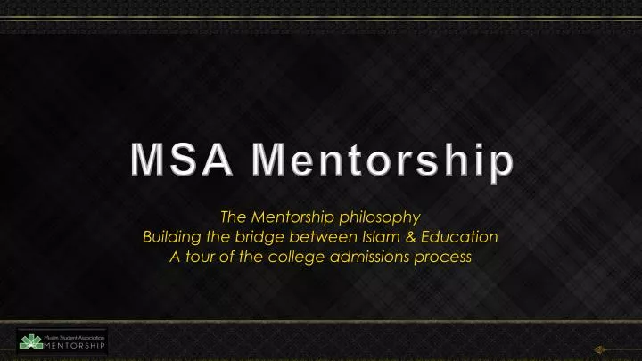 msa mentorship
