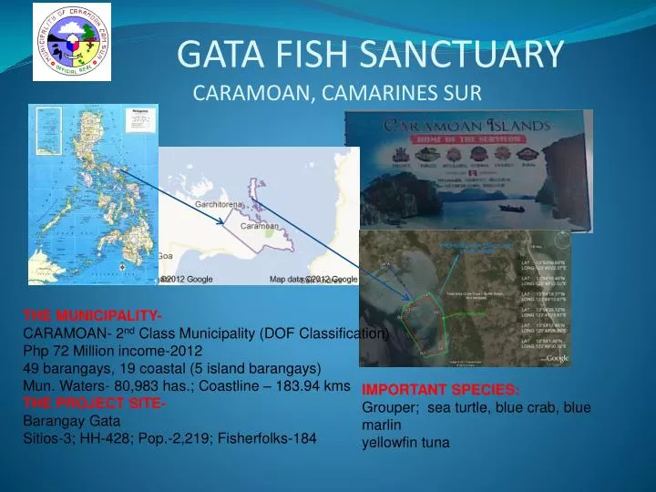 gata fish sanctuary caramoan camarines sur