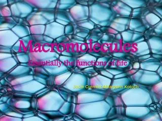 Macromolecules Essentially the functions of life Jocie Cormier &amp;Maryann Kotoch