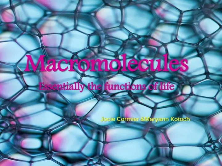macromolecules essentially the functions of life jocie cormier maryann kotoch